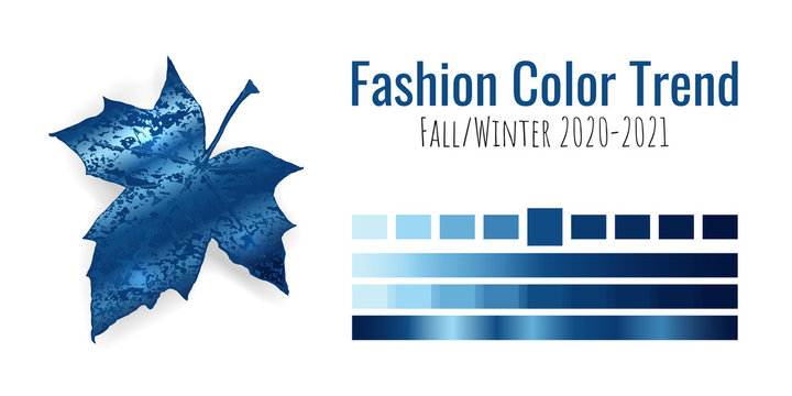 Fashion color trend Fall/Winter 2020-2021. Colour metallic palette with different shades of blue color and gradient. Maple tree leaf on white background. Paint palette mock up. Vector illustration
