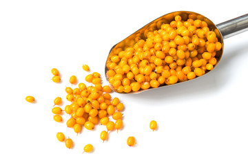 Fresh sea buckthorn in a scoop on a white background. A scattering of sea buckthorn berries.