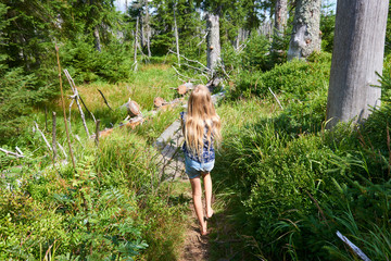Naklejka na ściany i meble Child girl walking barefoot along a wooden walkway in a peat bog around a lake Latschensee. Tourist walking in nature reserve. Bavarian Forest National Park, Germany