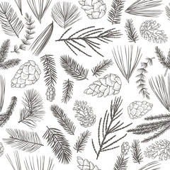 Vector  seamless pattern with hand drawn branches and cones of coniferous trees. Christmas plants.