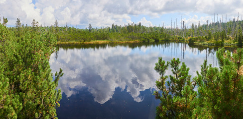 Hikers walking along the trail in a peat bog around a lake Latschensee. Tourists walking in nature reserve. Bavarian Forest National Park, Germany