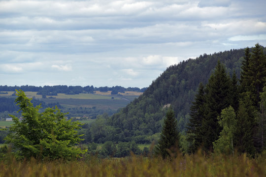 Summer open spaces of forests and fields in the Kungur district along the Iren River. Hot summer in the foothills of the Western Urals.