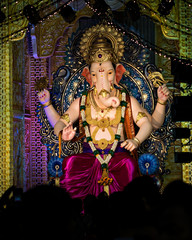 Closeup , portrait view of decorated and garlanded idol of Hindu God Ganesha.