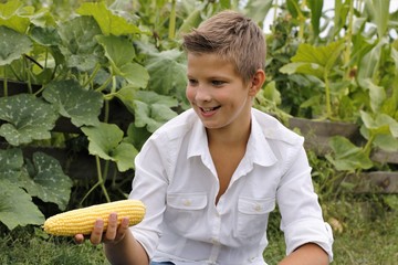 Boy emotions eats corn in summer outdoors