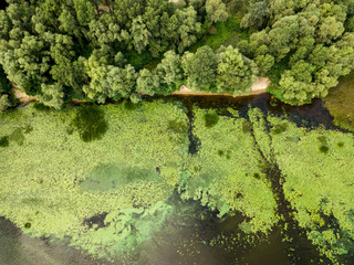 River bank, aerial drone view.