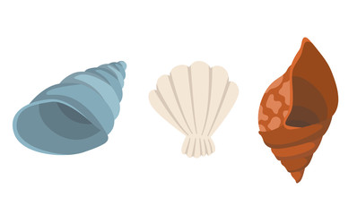 Colorful tropical sea shells underwater icon collection. Marine set cute stickers on the white background. Vector illustration. Perfect for invitations, greeting cards posters banners and flyer