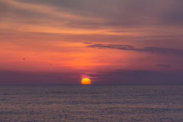 Pink sunset on the sea. The huge red sun sets on the horizon. Empty horizon. Scarlet clouds and gulls in the sky. Colorful natural background