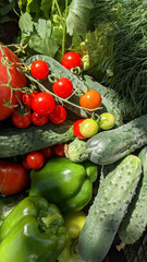 Organic farm products