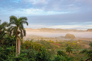 Fototapeta na wymiar morning with haze in the vinales valley in cuba
