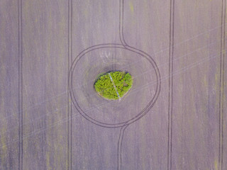 Aerial drone view. A power line post among a plowed field. Sunny spring day.