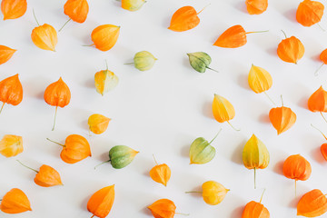 Autumn composition. Frame made of colorful flowers of physalis on pastel gray background. Autumn,...