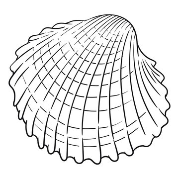Hand drawn vector of shell isolated on white background for coloring page. Black and white  stock illustration of mollusk for coloring book.
