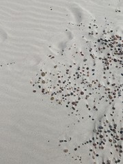 windprints on the sand