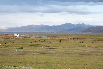 Fototapeta na wymiar View of the mountains, Tibetan house, grassland and yaks in a cloudy day, Tibet, China