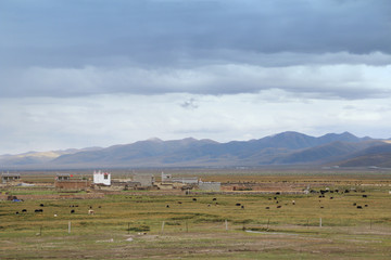 Fototapeta na wymiar View of the mountains, Tibetan house, grassland and yaks in a cloudy day, Tibet, China