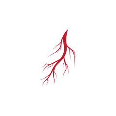 Human veins and arteries illustration design