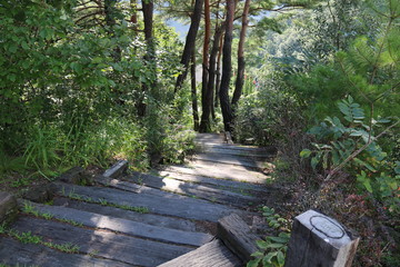 stairway to heaven