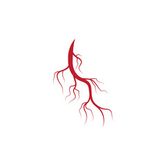 Human veins and arteries illustration design