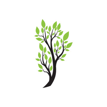 Tree Logo template vector icon
