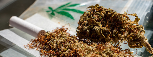Panorama Marihuana Cannabis Drogen Joint