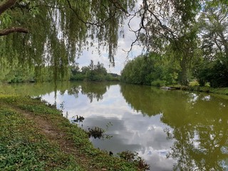 Kinder entdecken die Welt