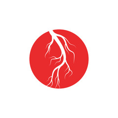 Human veins and arteries illustration design