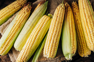 Fresh corn on the cob on a brown natural wood background close up