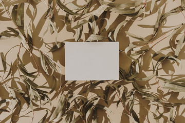 Blank paper sheet card with empty copy space, dry leaves and floral sunlight shadows on beige...