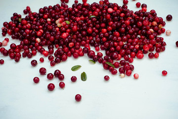 berries of a cranberry on a white background