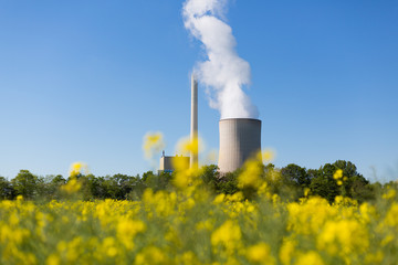 Kohlekraftwerk mit Kühlturm und Raps im Vordergrund