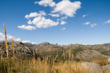 Mountain landscape view from a meadow