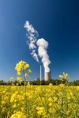 Kohlekraftwerk mit Kühlturm und Raps im Vordergrund