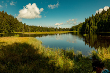 Reservoir with beautiful reflection of the blue sky with clouds and forest