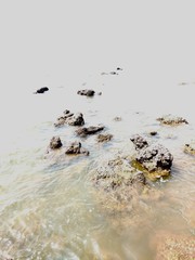 Rocky Beaches @ Goa, India