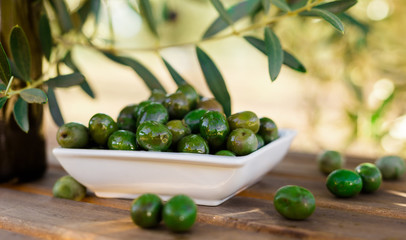 olives on table in an olive grove