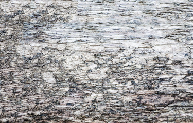 Fototapeta premium stone wall texture