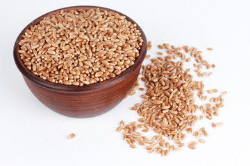 Pile of wheat grains scattered from clay bowl isolated on white background. High angle, closeup, single object. Harvest, healthy food, ingredient concept