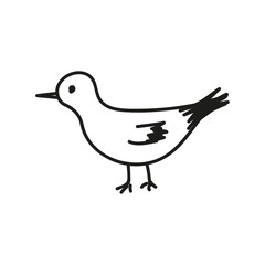 The seagull stands sideways. Icon, icon, vector contour monochrome illustration in doodle style on a white background. Design element
