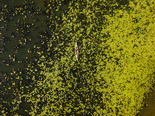 Aerial drone view. Kayak boat among water lilies.