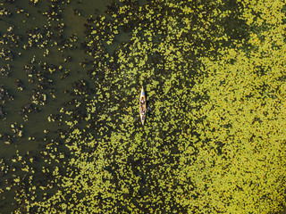 Aerial drone view. Kayak boat among water lilies.