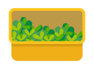 Vector flat box of lettuce. Organic vegetables small bushes with green leaves in a yellow box isolated on white background. Greenery with leaves vegetarian food and meal vegetable natural ingredient