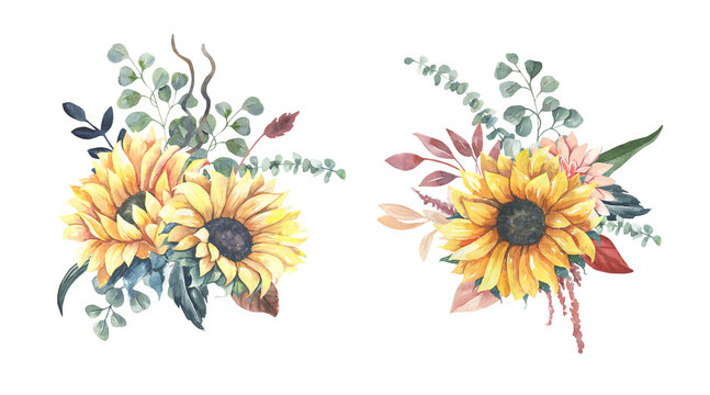 Watercolor hand painted floral sunflower bouquets.Watercolor floral illustration with sunflowers -  for wedding invite, stationary, greetings, wallpapers, background.