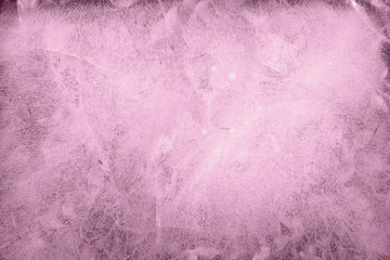 spring flowers are frozen in ice
