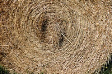 foin paille rouleau fond texture aliment bétail balle ballot rouleau rond ferme champ moisson 