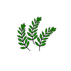 Green olive leaves isolated on white background. Cartoon style. Organic leaf icon. Branch print logo. Agriculture symbol. Decorative elements. Decorative elements.