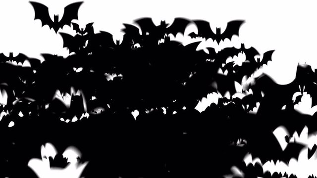 Spooky Halloween Transition matte Pack. Flying bats flock cartoon with motion graphics package features 4K 60fps dynamic animation and moving bats transition.