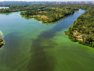 Aerial drone view of the Dnieper river. Green texture from blooming algae in the river.