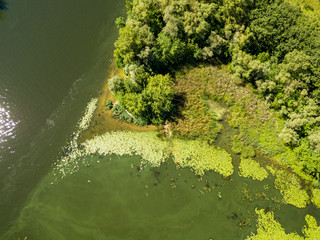 Aerial drone view. Green meadows by the river.