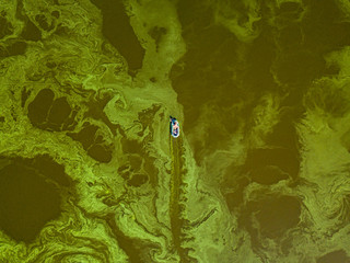 Fishing boat on green water, aerial drone view. Algae bloom in the river, green pattern on the...
