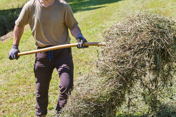 A farmer working hard in a pasture field collecting grass